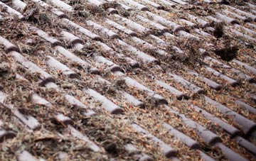 Puddlebridge roof cleaning companies